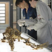 Emily Deschanel e Ryan Cartwright in una scena dell'episodio The Babe in the Bar di Bones