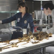 Emily Deschanel e Ryan Cartwright nell'episodio The Babe in the Bar di Bones