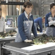 Michaela Conlin, Emily Deschanel e Carla Gallo nell'episodio The Shallow in the Deep di Bones