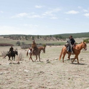 Una sequenza de Il Grinta (True Grit - Joel ed Ethan Coen, 2010)