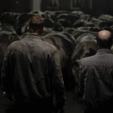 Una cupa sequenza di Rundskop del regista Michaël R. Roskam