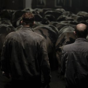 Una cupa sequenza di Rundskop del regista Michaël R. Roskam