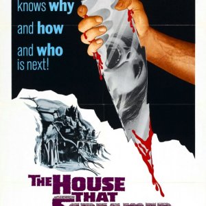 Locandina inglese del film Gli orrori del liceo femminile