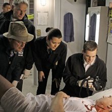 Mark Harmon, David McCallum, Cote de Pablo e Sean Murray nellepisodio A Man Walks Into a Bar... di NCIS
