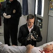 Il Sempre Piu Magro Sean Murray Nell Episodio Cracked Di N C I S 181089 Movieplayer It