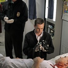 Mark Harmon e Sean Murray sulla scena del crimine nell'episodio A Man Walks Into a Bar... di NCIS