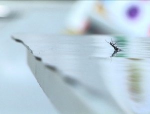 Una scena del film FIT