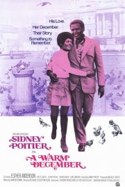 La locandina di Grazie per quel caldo dicembre