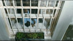 Desert Flower - Trailer