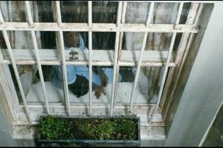 Desert Flower - Trailer