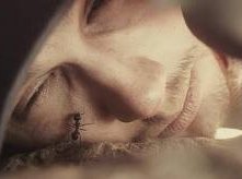 James Franco in un'immagine shockante del film 127 Hours