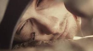 James Franco in un'immagine shockante del film 127 Hours