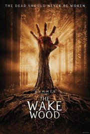 La locandina di Wake Wood