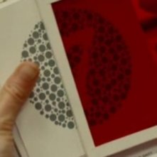 Una scena del film Shelter