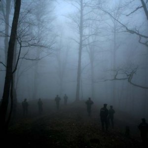 Un suggestivo scenario del film The Hunter