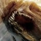 Al via le riprese di Wrath of the Titans