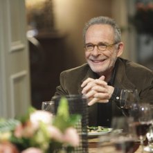 Ron Rifkin nell'episodio Safe at Home di Brothers & Sisters