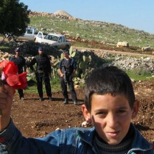 Una toccante immagine di Budrus