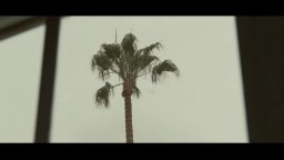 Lo stravagante mondo di Greenberg - Clip 'Cara America Airlines'