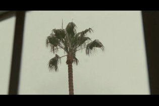 Lo stravagante mondo di Greenberg - Clip 'Cara America Airlines'