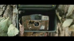 ¿Para qué sirve un oso? - Trailer