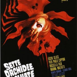 Locandina del film Sette orchidee macchiate di rosso