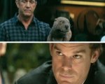 Cine weekend estero: The Beaver, Peep World e le altre uscite