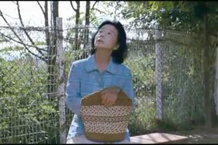 Poetry - Videorecensione