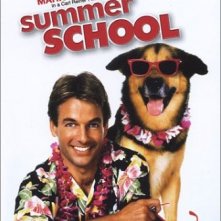 La locandina di Lezioni d'estate