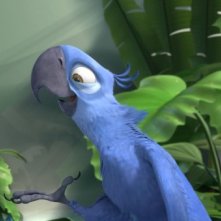 Due pennuti protagonisti del cartoon Rio in 3D