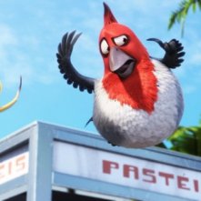 Due volatili protagonisti di Rio in 3D