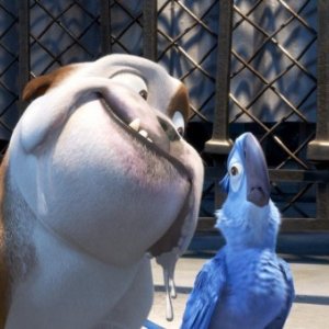 Rio in 3D, Luiz, il bulldog, accanto a Blu