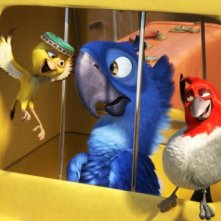 Rio in 3D, un'immagine del film