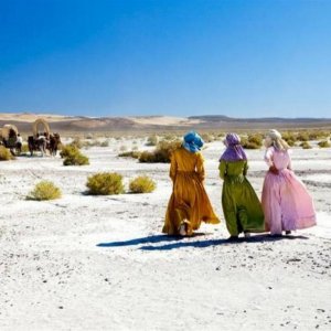 Un'immagine poetica tratta dal film Meek's Cutoff
