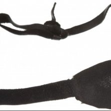 La benda utilizzata da John Wayne durante le riprese di Il Grinta (1969)