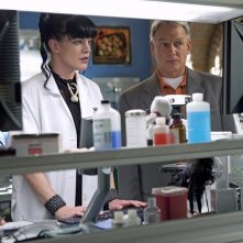 Pauley Perrette E Mark Harmon Nell Episodio Tell All Di Ncis 199442
