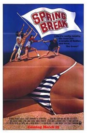 La locandina di Un'estate pazzesca