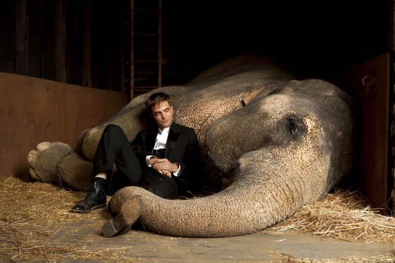 Robert Pattinson In Una Bella Immagine Del Film Come L Acqua Per Gli Elefanti 200577