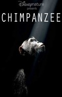 La locandina di Chimpanzee