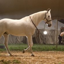 Reese Witherspoon è Marlena nel film Come l'acqua per gli elefanti