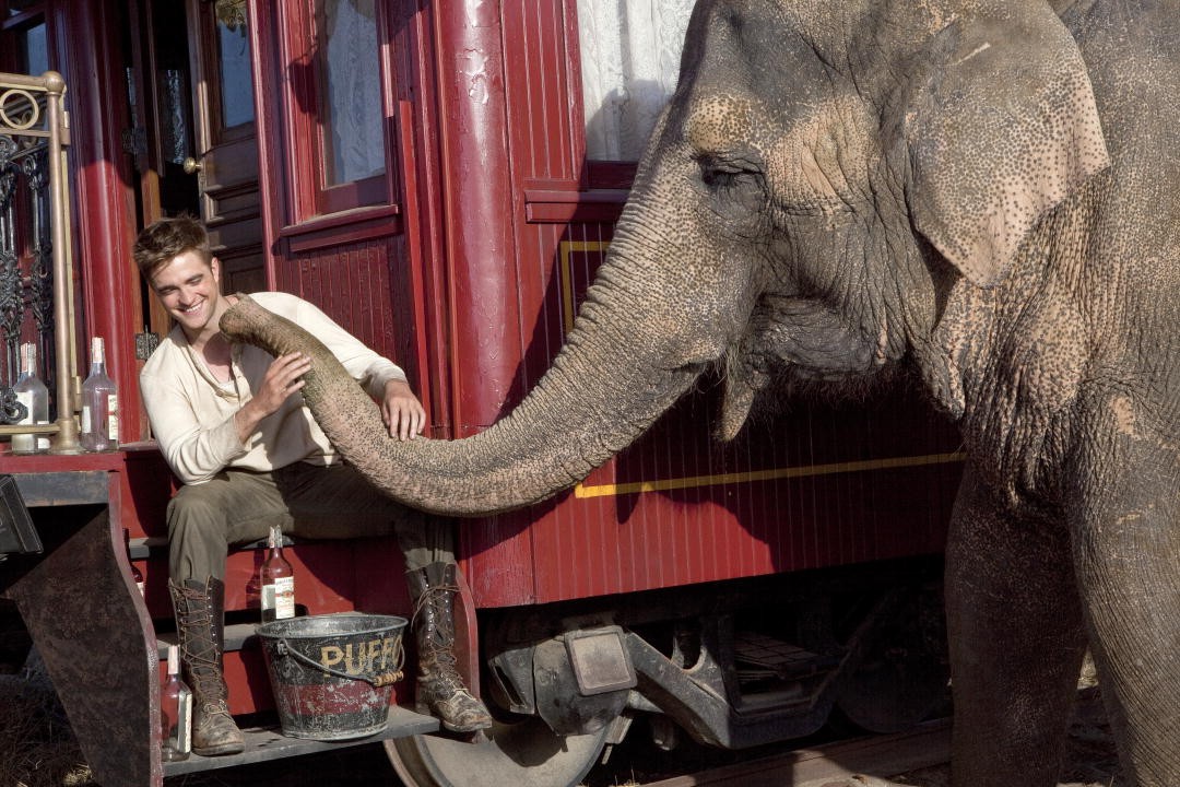 Un Wallpaper Di Robert Pattinson In Come L Acqua Per Gli Elefanti 200622