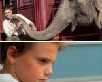 Cine-weekend estero: Water for Elephants, Madea e gli altri film