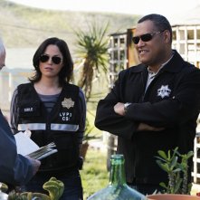 Jorja Fox e Laurence Fishburne in una scena dell'episodio Turn On, Tune In, Drop Dead di CSI: Scena del crimine
