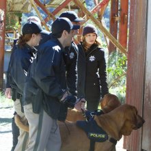 M Helgenberger E Szmanda E G Eads Nell Episodio The List Di Csi Scena Del Crimine 201041
