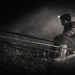 Foto di scena