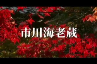 Teaser Trailer - Hara-kiri: death of a Samurai