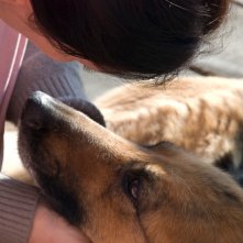 Beatrice Orlandini con Winnie nel film La misura del confine