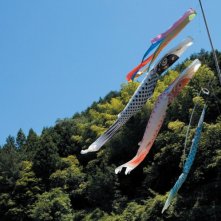 Una colorata immagine del film Hanezu no Tsuki di Naomi KAWASE