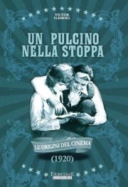 La locandina di Un pulcino nella stoppa