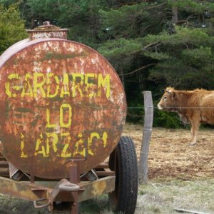 Una immagine tratta dal film Tous Au Larzac